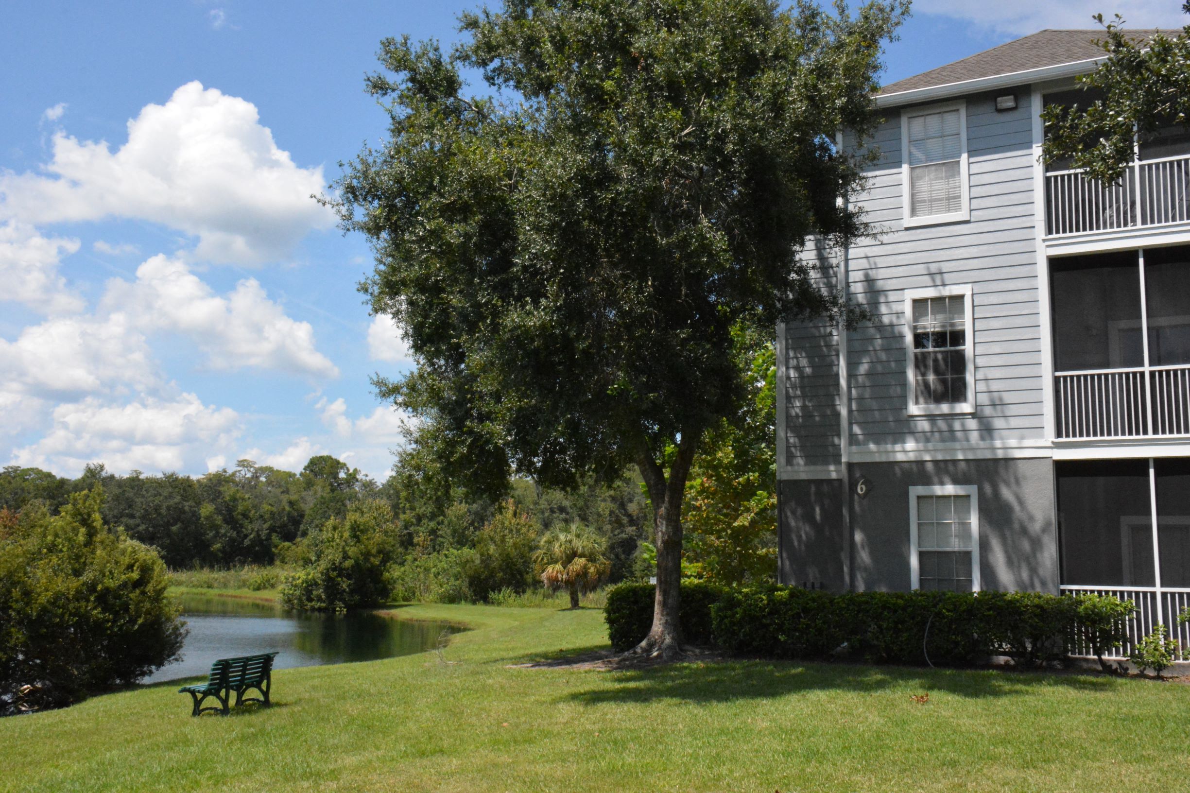 Berkshires at Citrus Park Image 65
